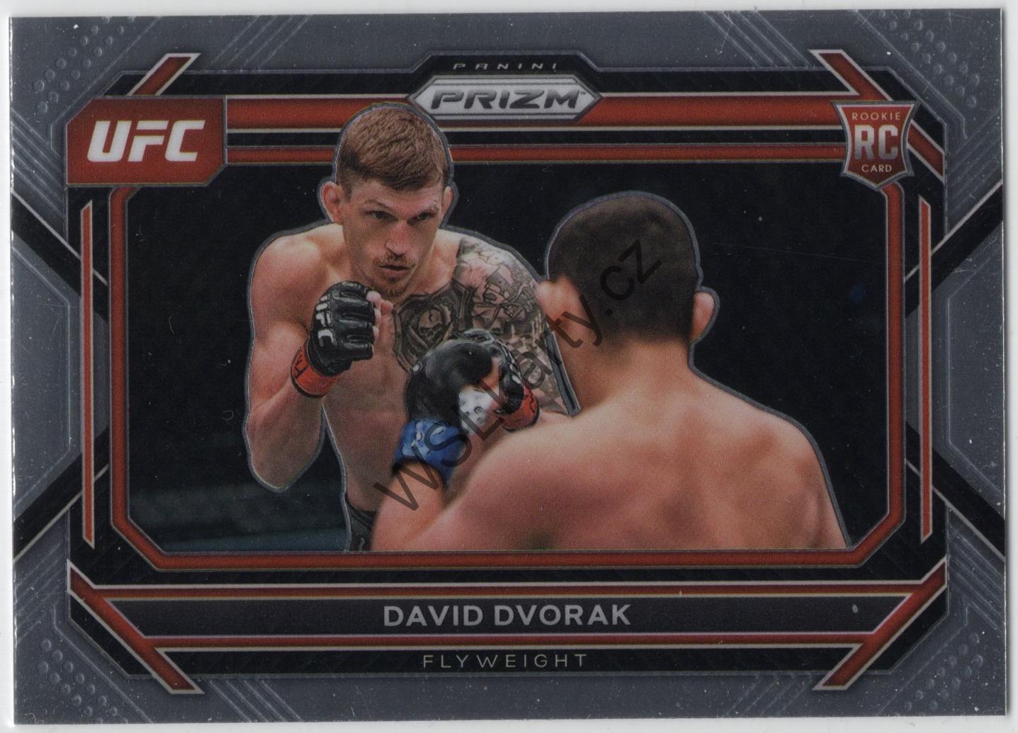 David DVOŘÁK - Prizm 2023 #70