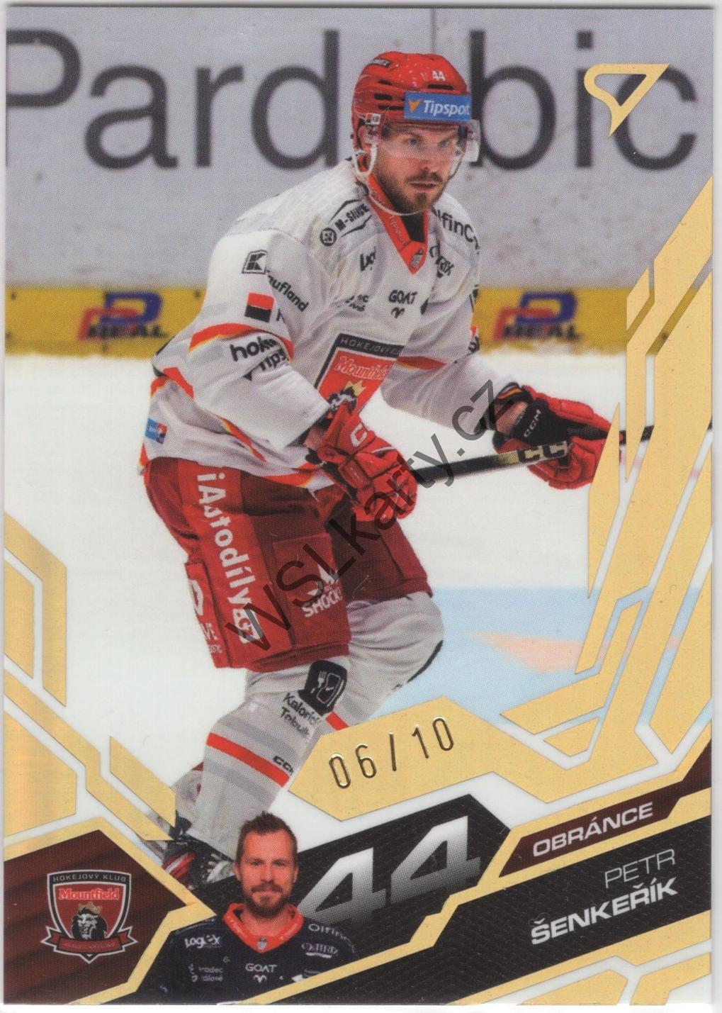 Petr ŠENKEŘÍK - SportZoo 25-26 #61 GOLD (MHK)