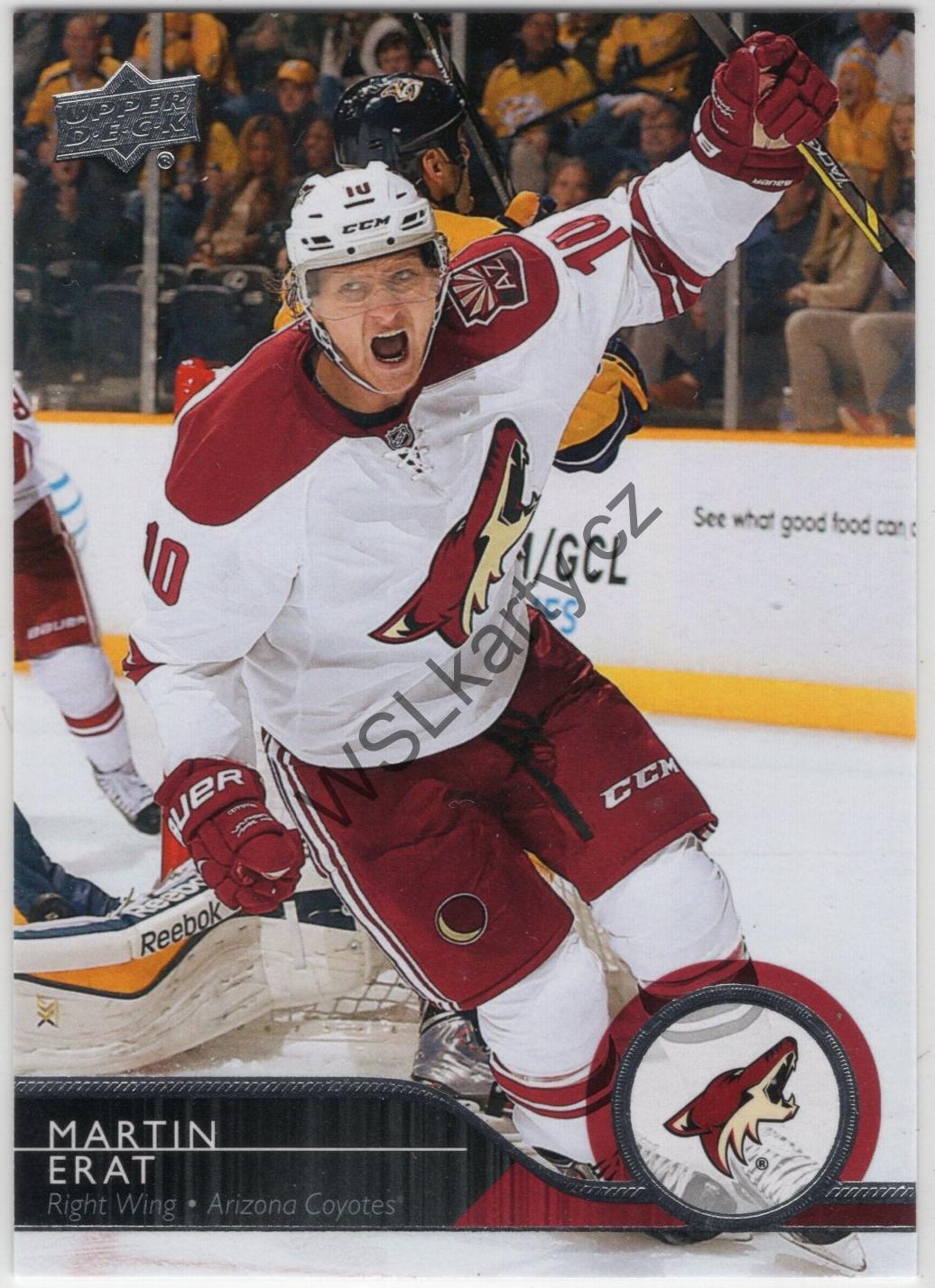 Martin ERAT - Upper Deck 14-15 #260 (ARI)