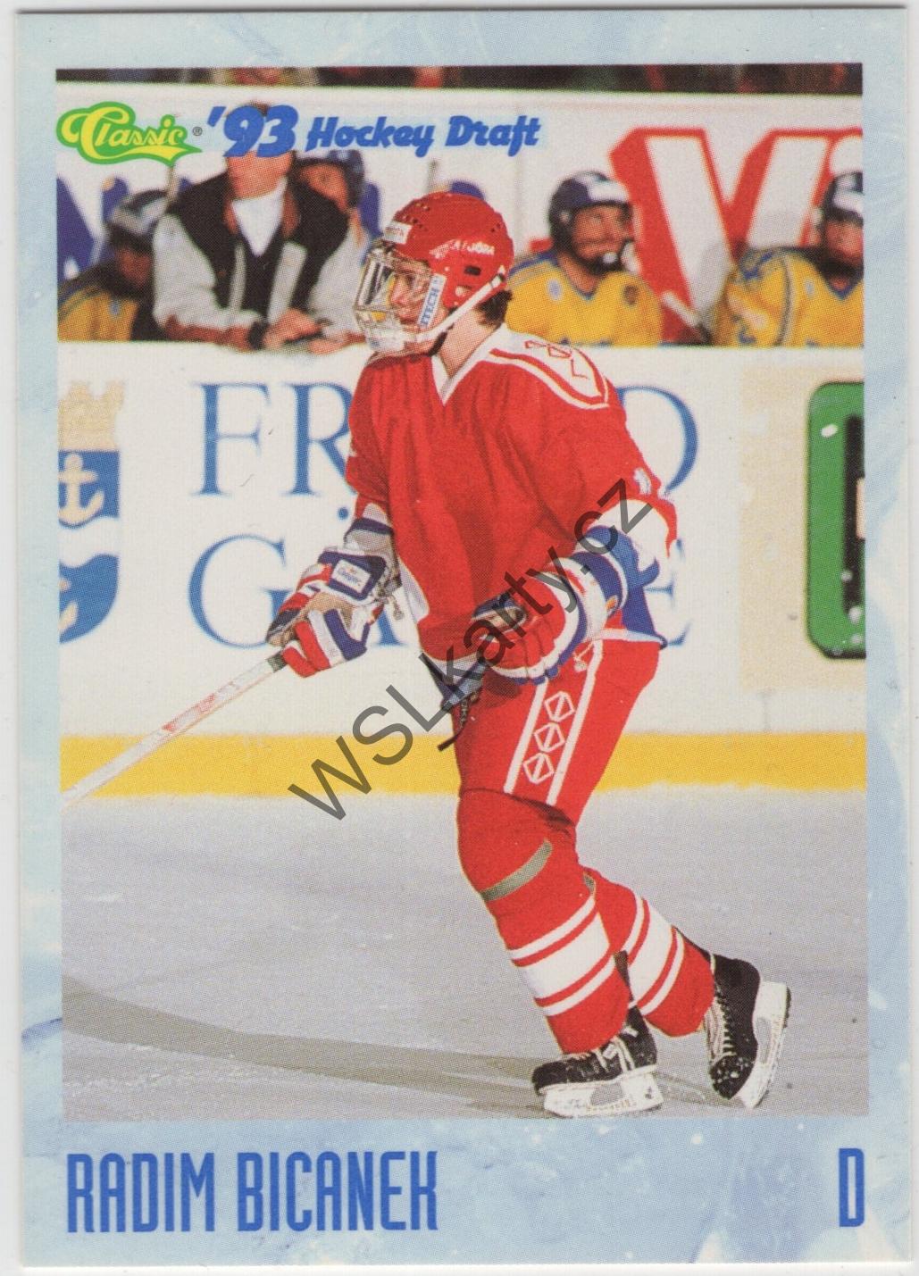 Radim BIČÁNEK - Classic 93-94 #36 (IHL)