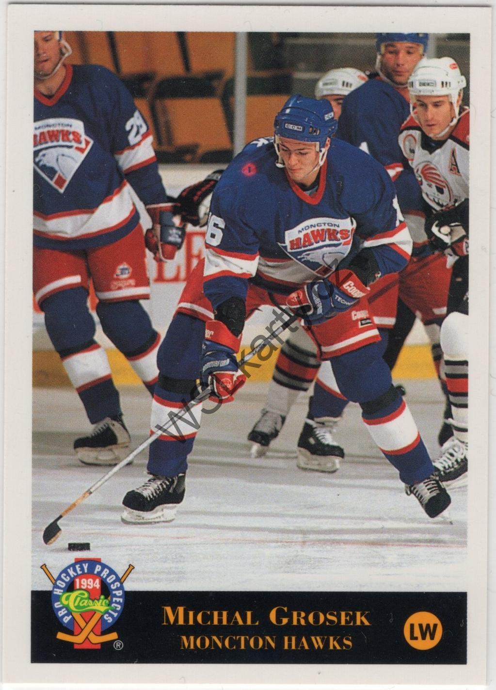Michal GROŠEK - Classic Pro Prospects 93-94 #9 (AHL)