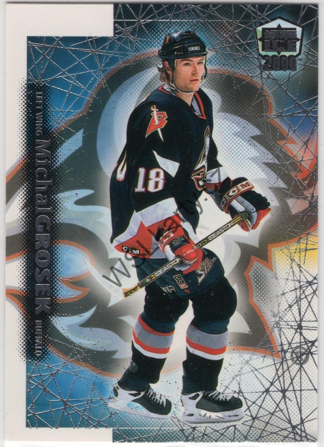Michal GROŠEK - Dynagon Ice 99-00 #30 (BUF)