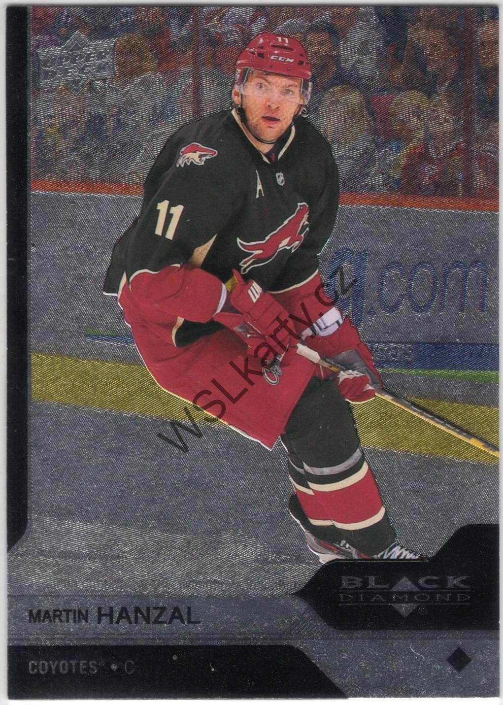 Martin HANZAL - Black Diamond 13-14 #16 (PHX)