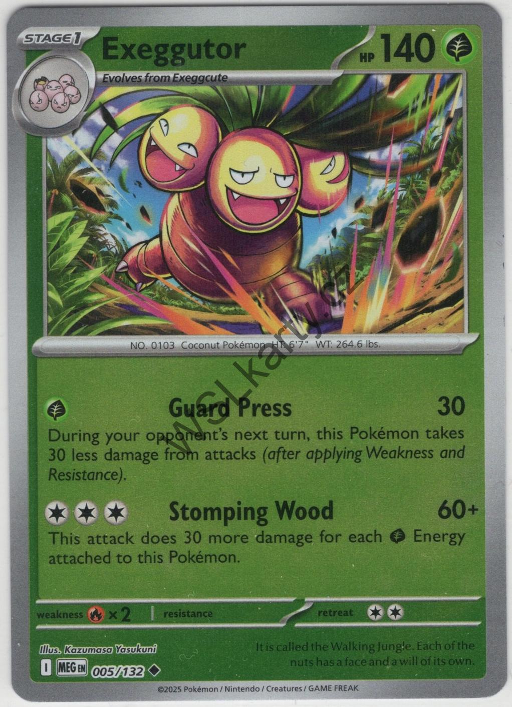 #MEG005 EXEGGUTOR