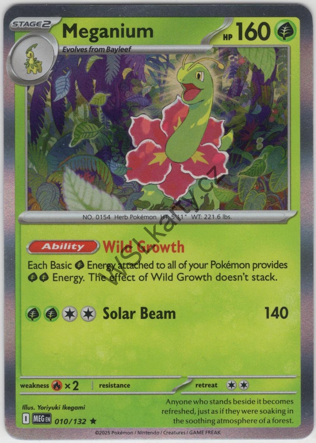 #MEG010 MEGANIUM