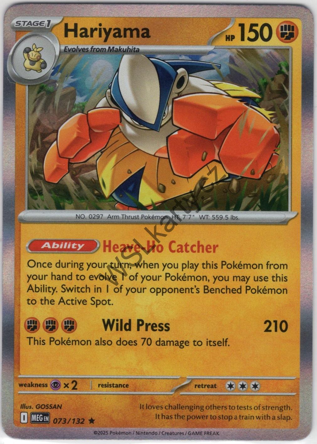 #MEG073 HARIYAMA