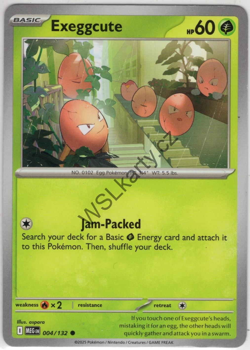 #MEG004 EXEGGCUTE