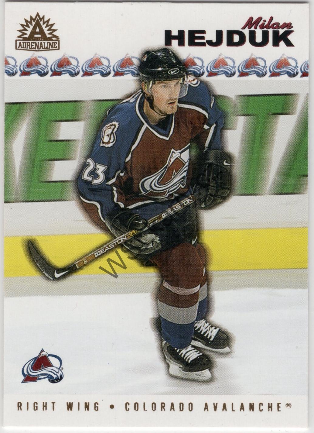 Milan HEJDUK - Adrenaline 01-02 #48 (COL)