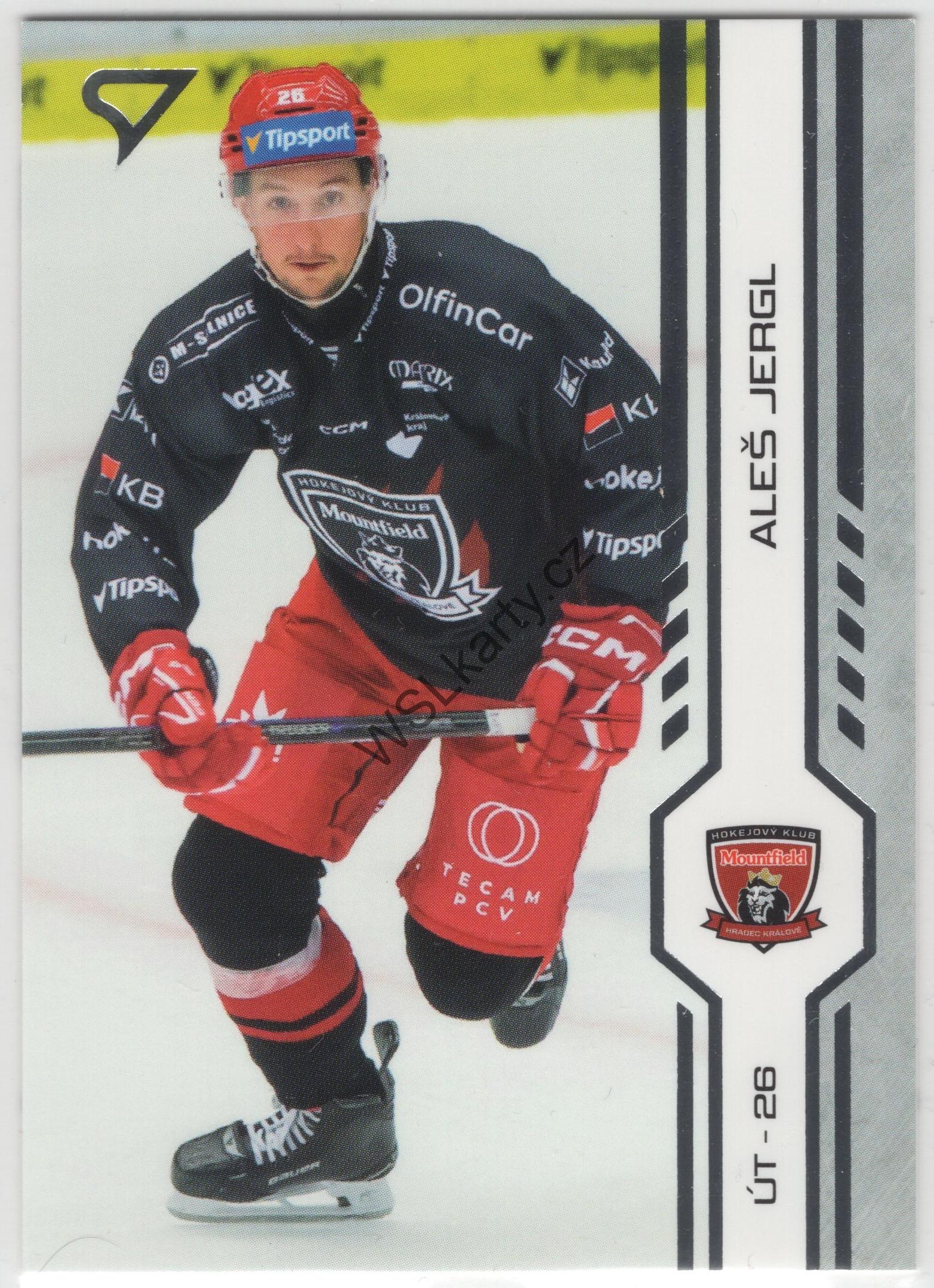 Aleš JERGL - SportZoo 24-25 #139 (MHK)