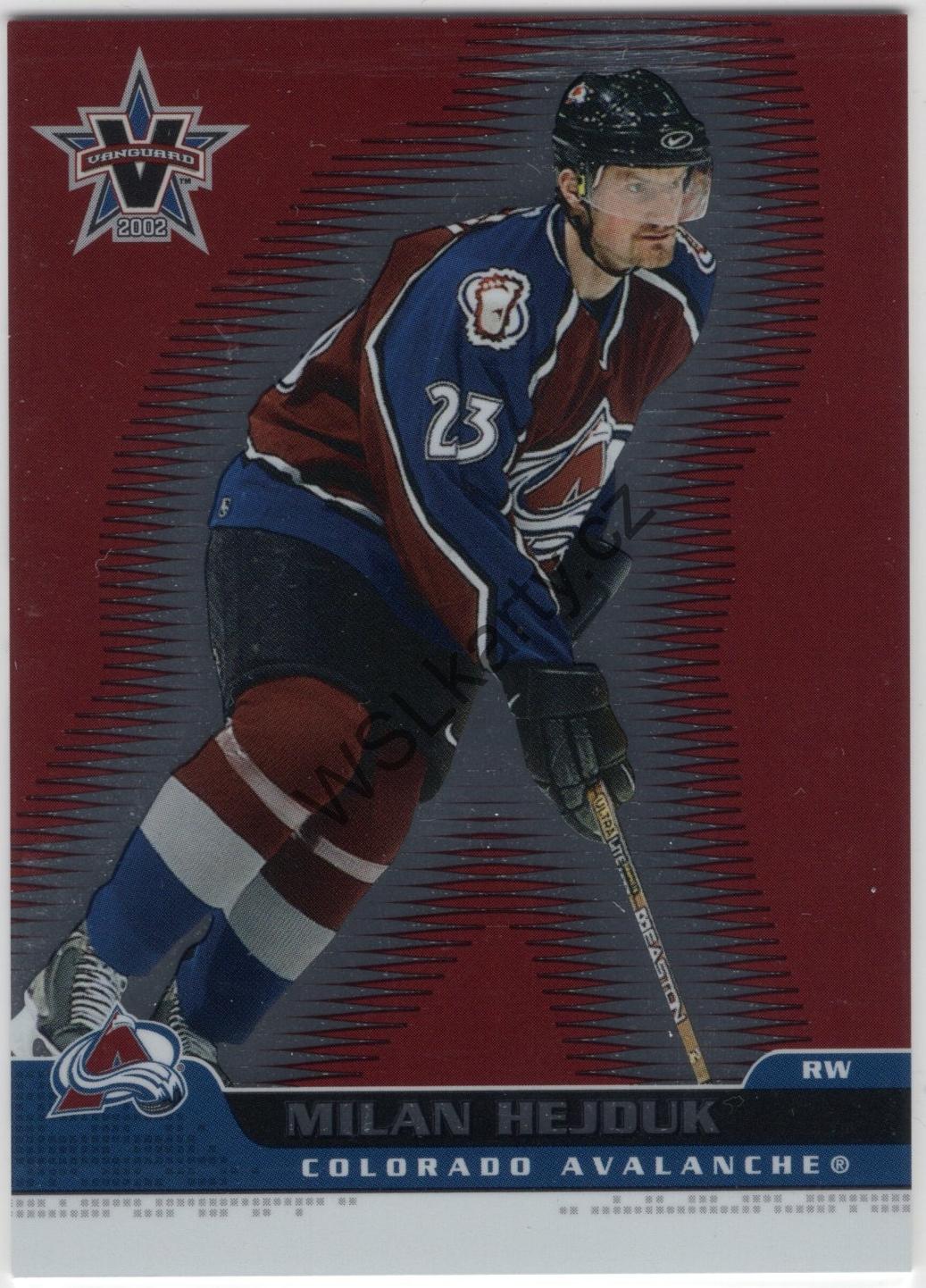 Milan HEJDUK - Vanguard 01-02 #25 (COL)