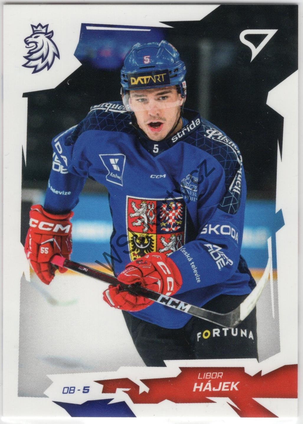 Libor HÁJEK - Hokejové Česko 2026 #10 (CZE)