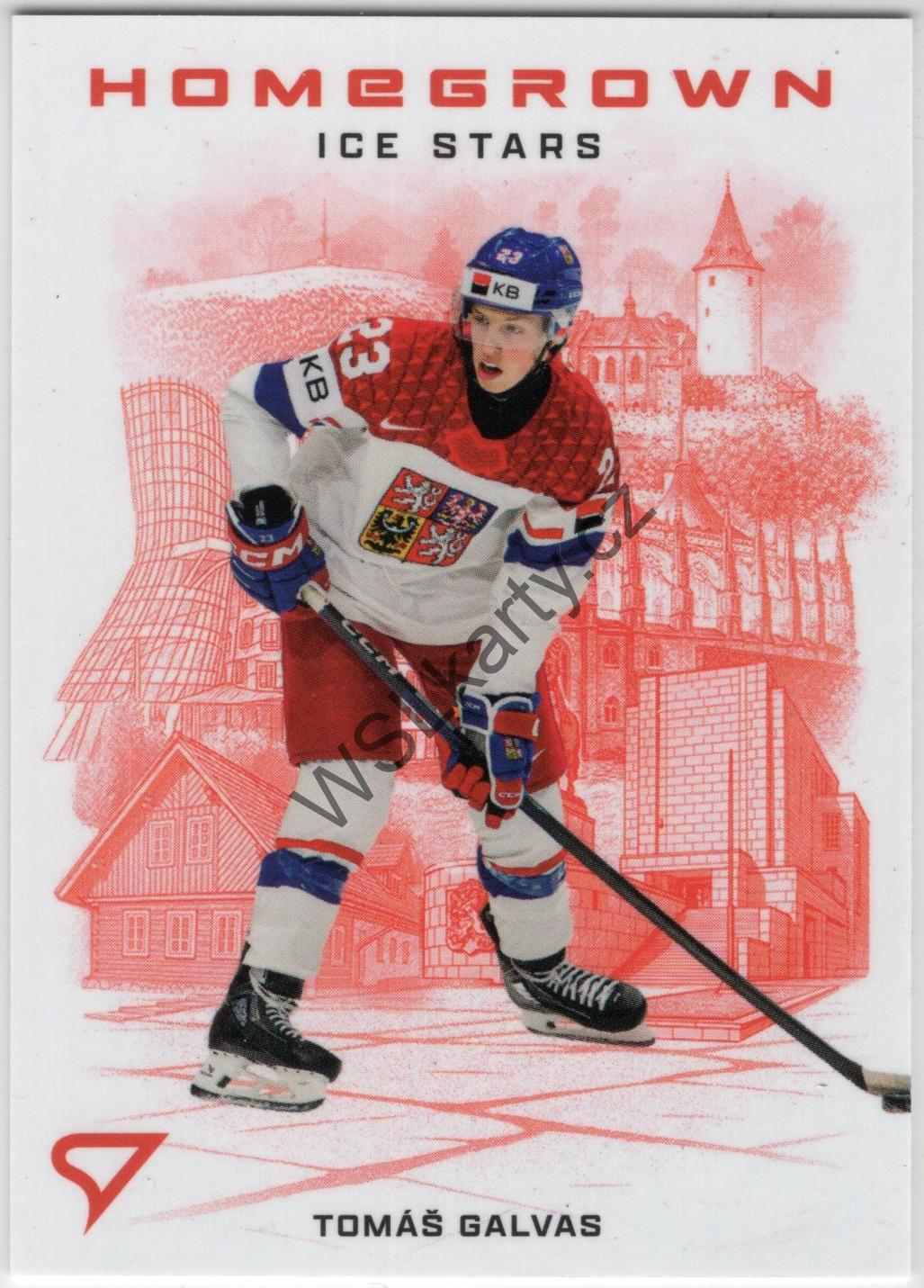 Tomáš GALVAS - Hokejové Česko 2026 HOMEGROWN ICE STATS #HS-04 (CZE)
