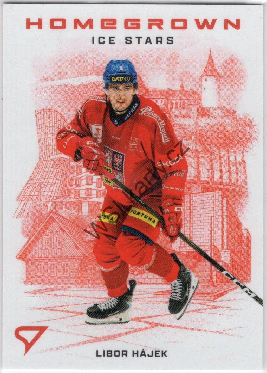 Libor HÁJEK - Hokejové Česko 2026 HOMEGROWN ICE STATS #HS-06 (CZE)