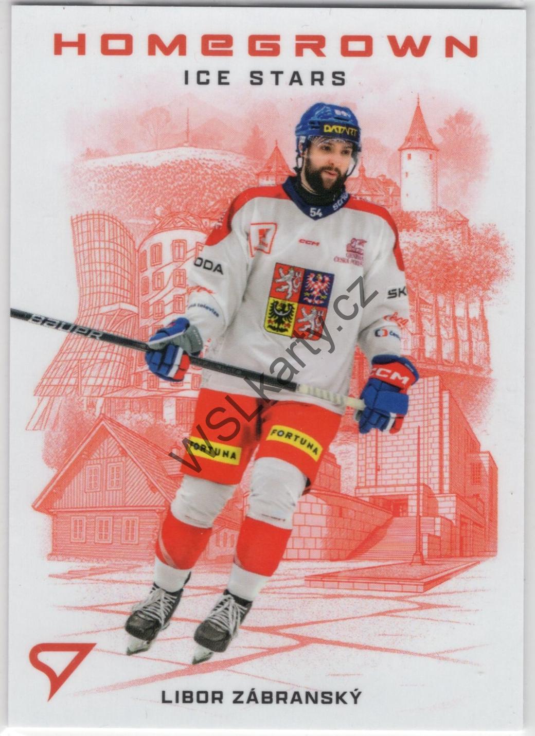 Libor ZÁBRANSKÝ - Hokejové Česko 2026 HOMEGROWN ICE STATS #HS-13 (CZE)