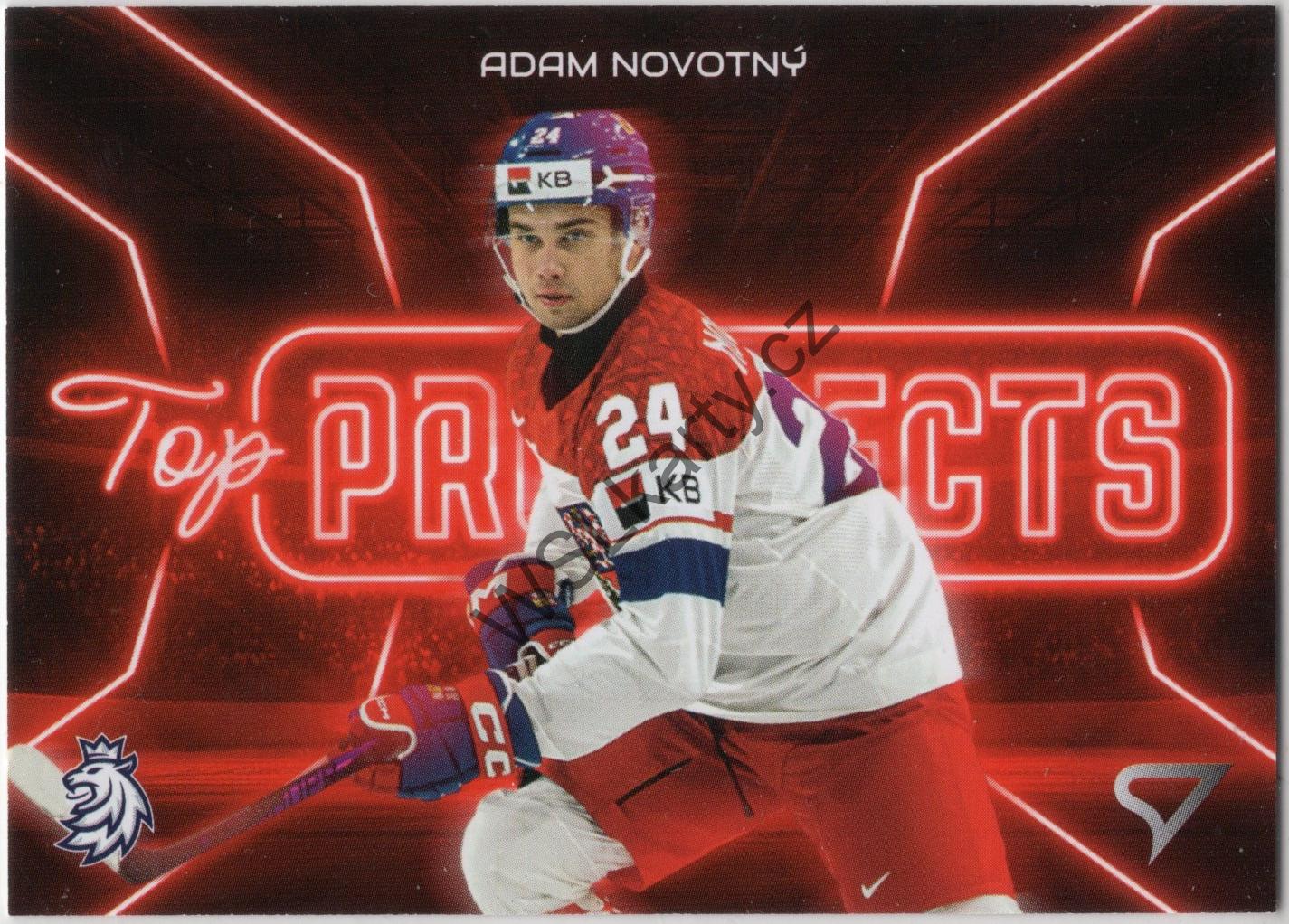 Adam NOVOTNÝ - Hokejové Česko 2026 TOP PROSPECTS #TP-30 (CZE)