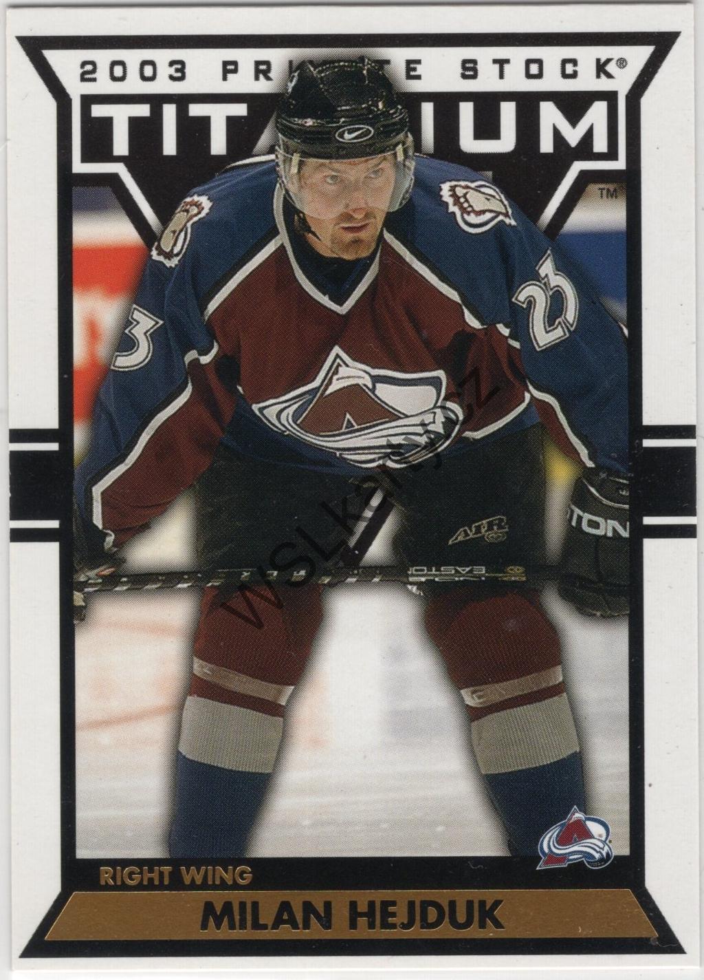 Milan HEJDUK - Titanium 02-03 #25 (COL)