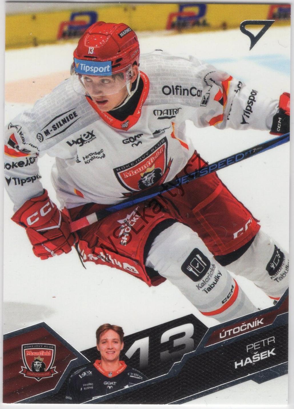 Petr HAŠEK - SportZoo 25-26 #62 (MHK)