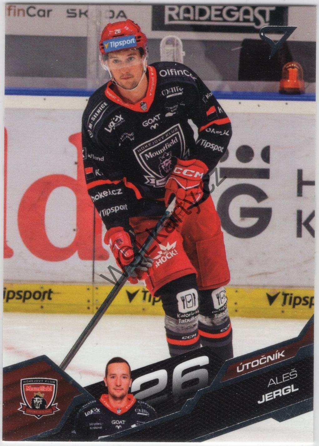 Aleš JERGL - SportZoo 25-26 #63 (MHK)