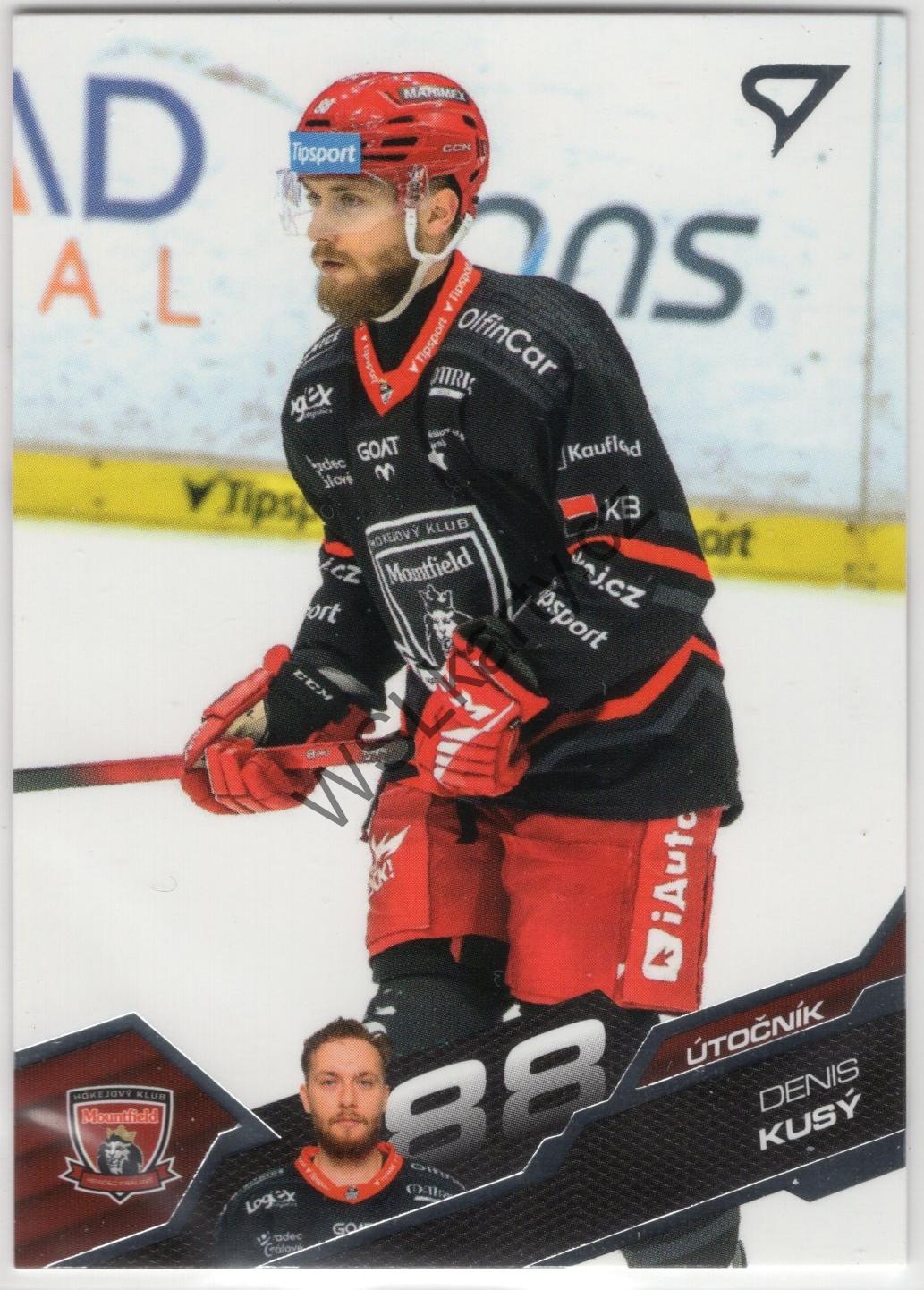 Denis KUSÝ - SportZoo 25-26 #284 (MHK)