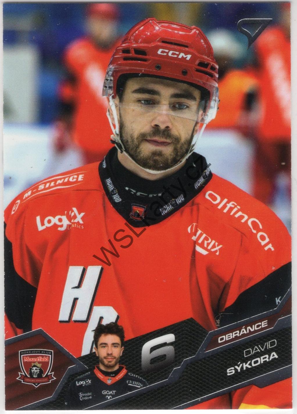 David SÝKORA - SportZoo 25-26 #381 (MHK)