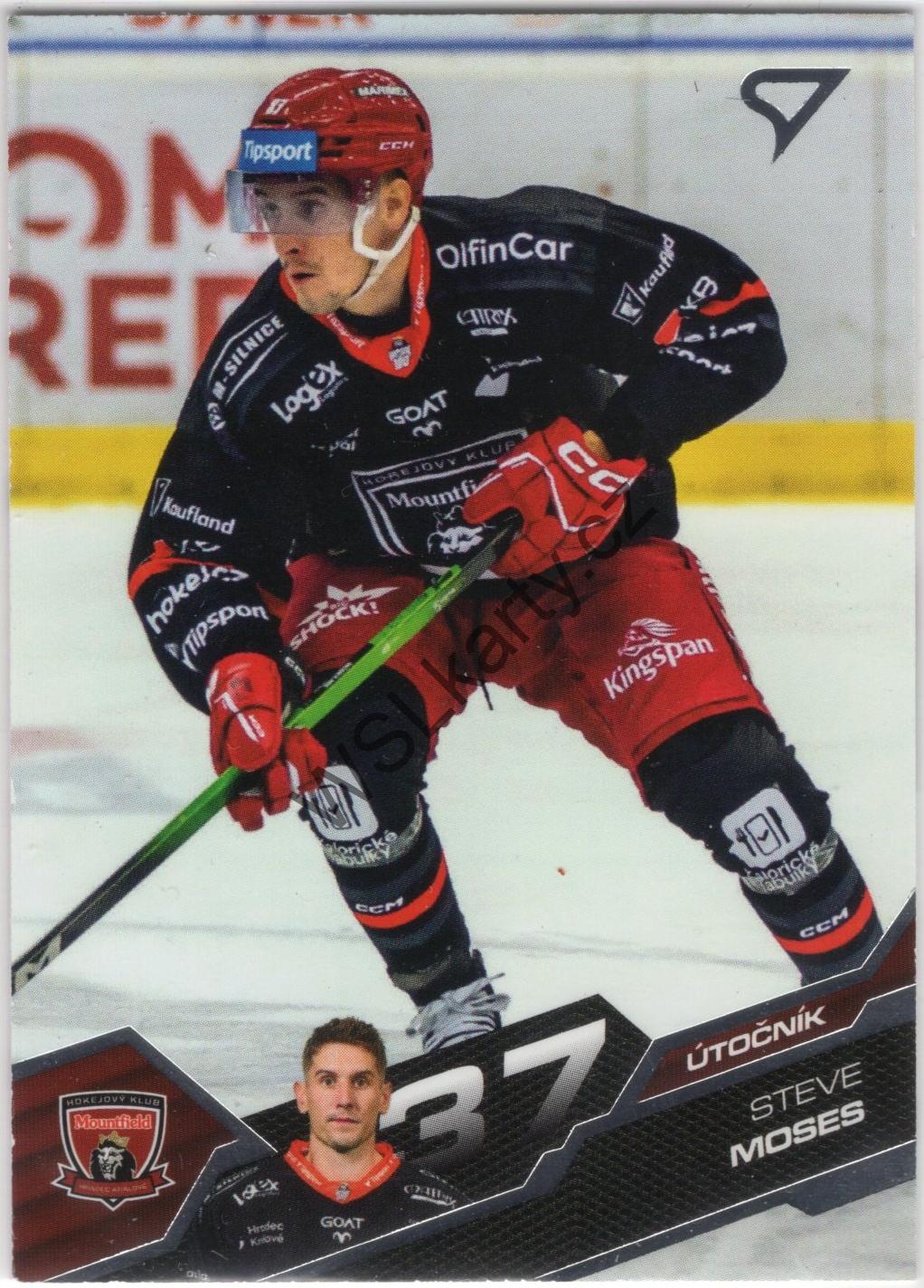Steve MOSES - SportZoo 25-26 #383 (MHK)
