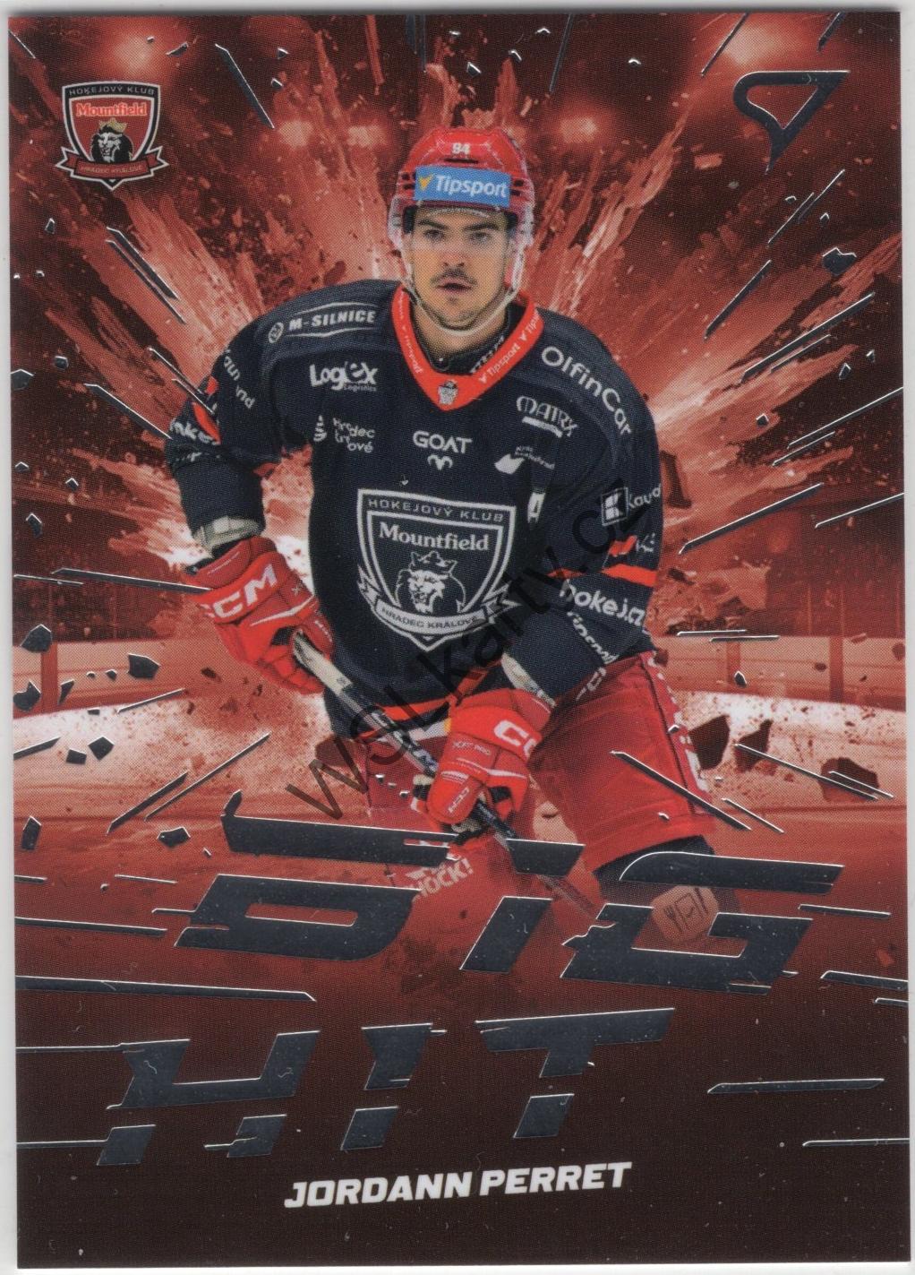 Jordann PERRET - SportZoo 25-26 BIG HIT #BD-05 (MHK)