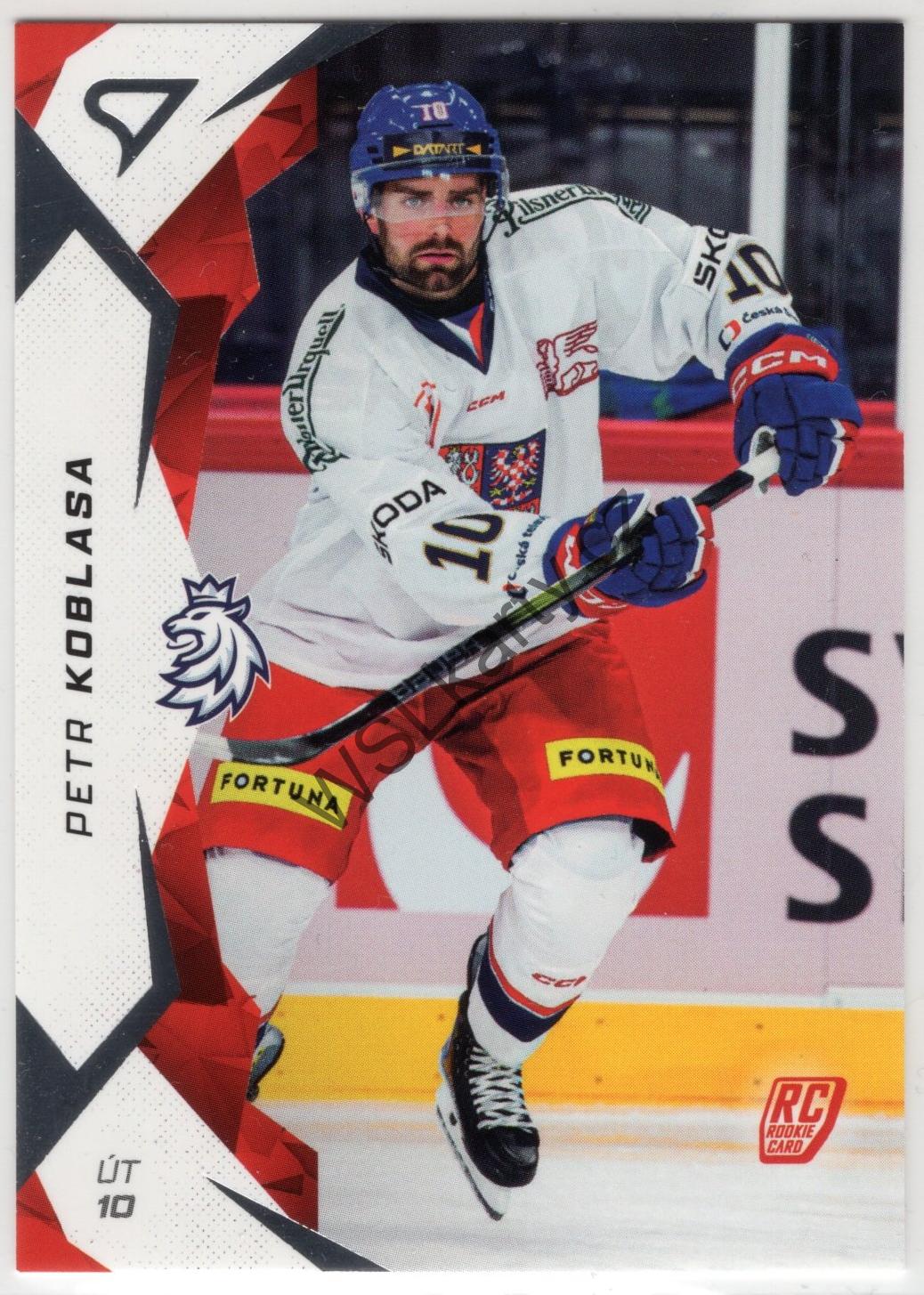 Petr KOBLASA - Hokejové Česko 2025 #41 (CZE)