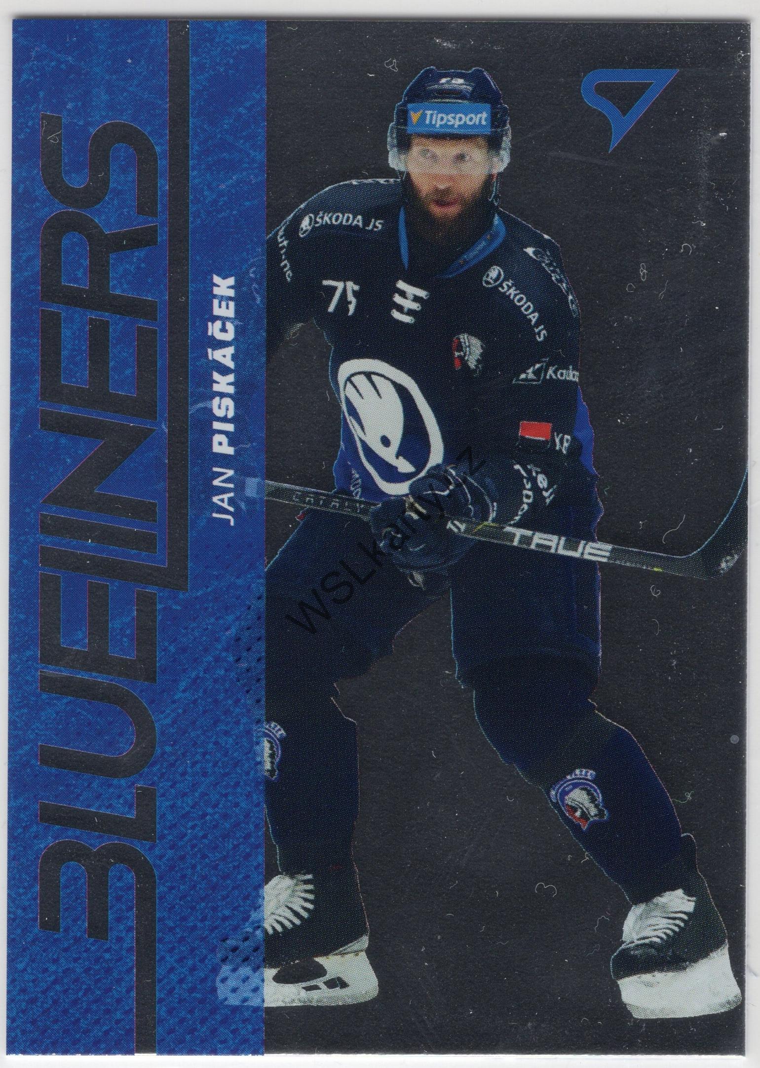 Jan PISKÁČEK - SportZoo 24-25 BLUELINERS #BL-31 (PLZ)