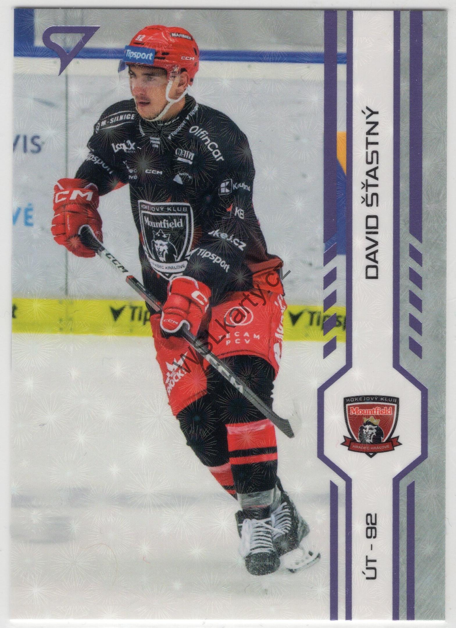 David ŠŤASTNÝ - SportZoo 24-25 #143 PUCK MARKS (MHK)