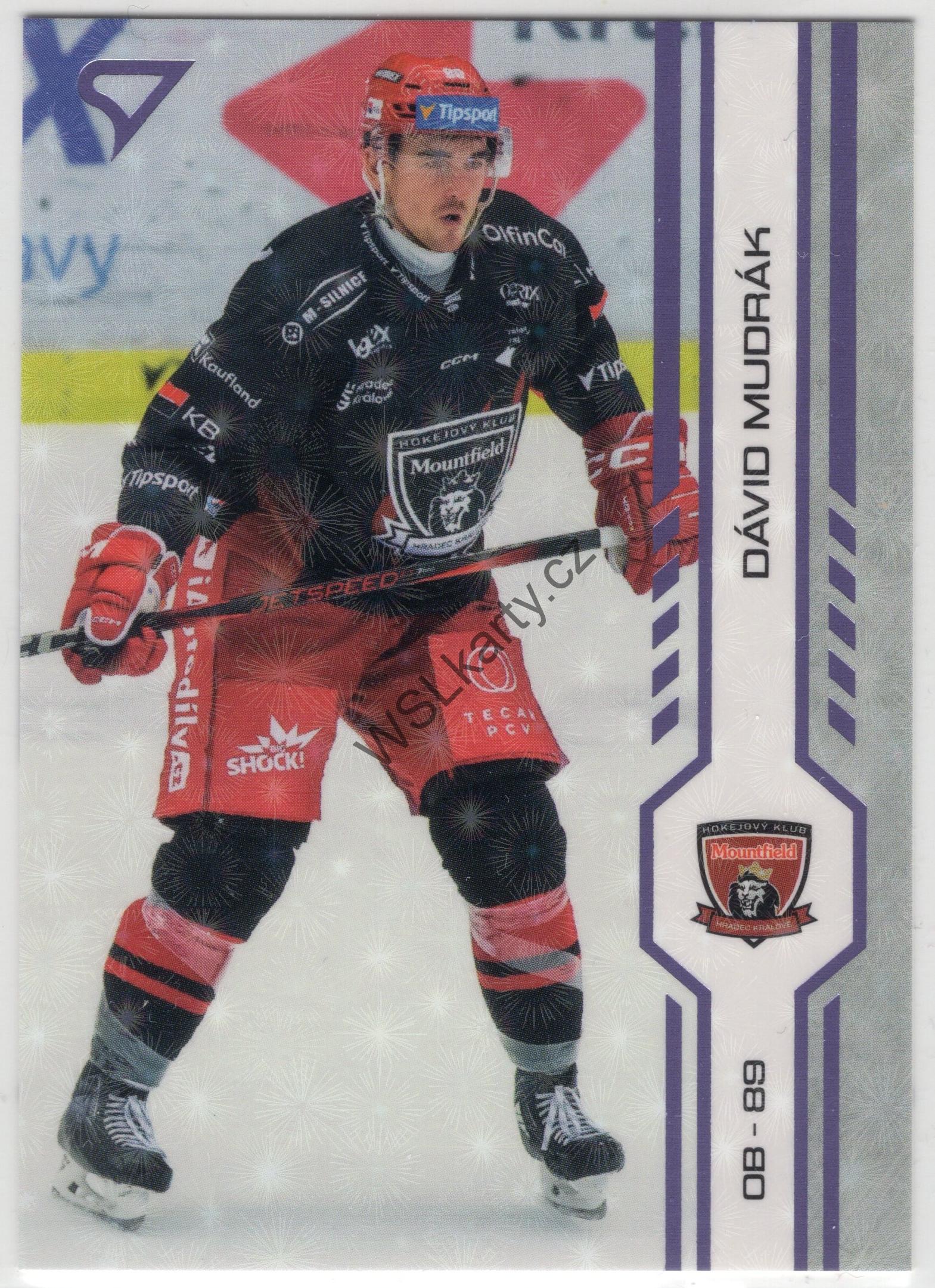 Dávid MUDRÁK - SportZoo 24-25 #134 PUCK MARKS (MHK)