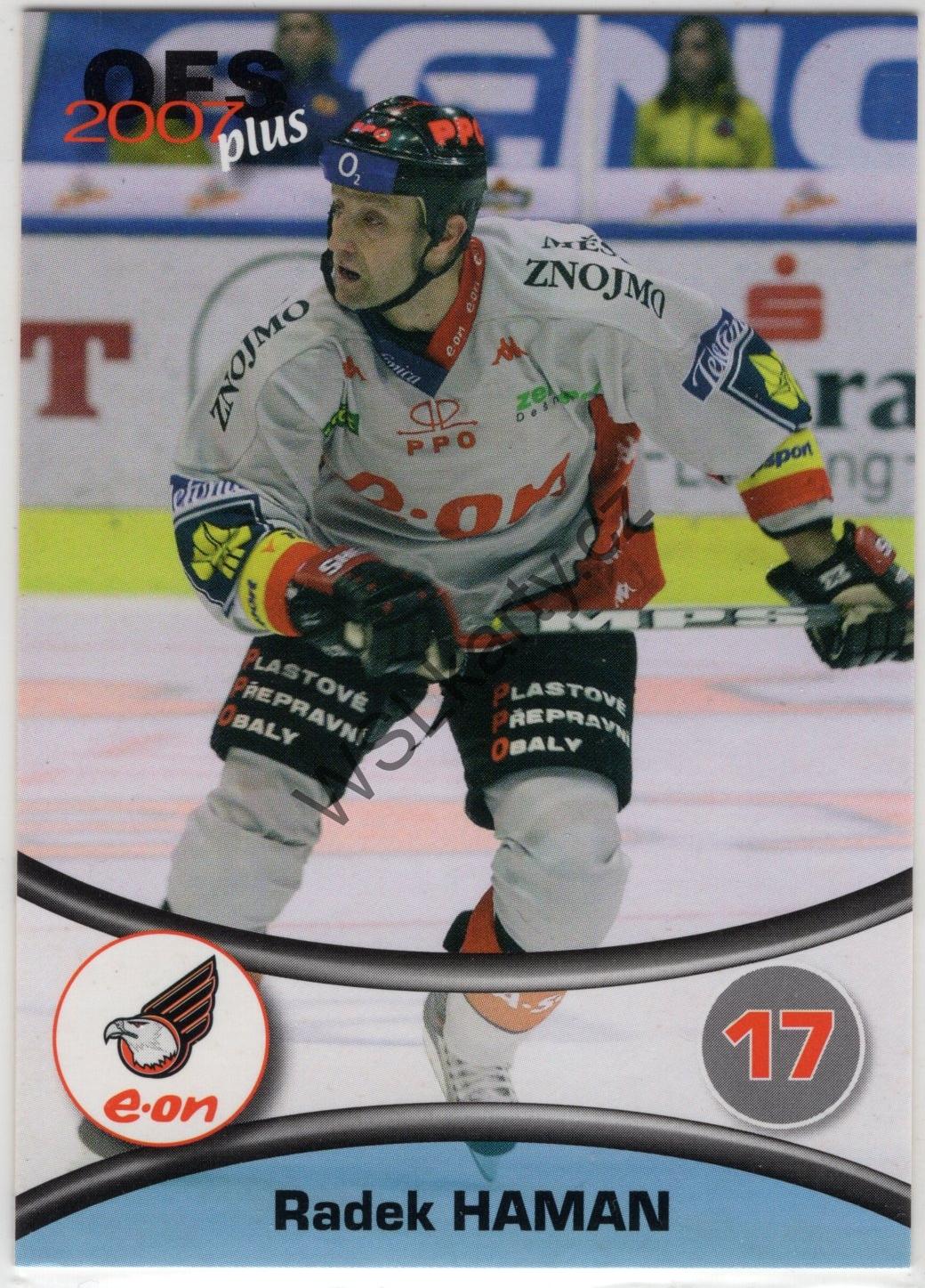 Radek HAMAN - OFS plus 06-07 #203 (ZNO)
