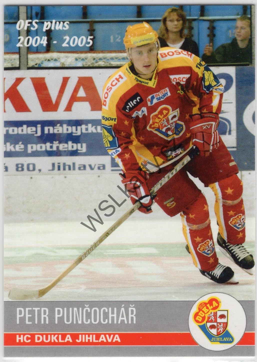 Petr PUNČOCHÁŘ - OFS plus 04-05 #17 (JIH)