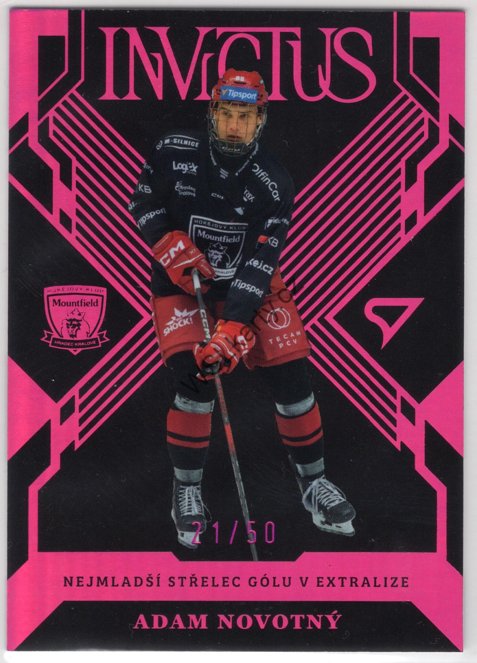 Adam NOVOTNÝ - SportZoo 24-25 INVICTUS #IN-3 PINK (MHK)