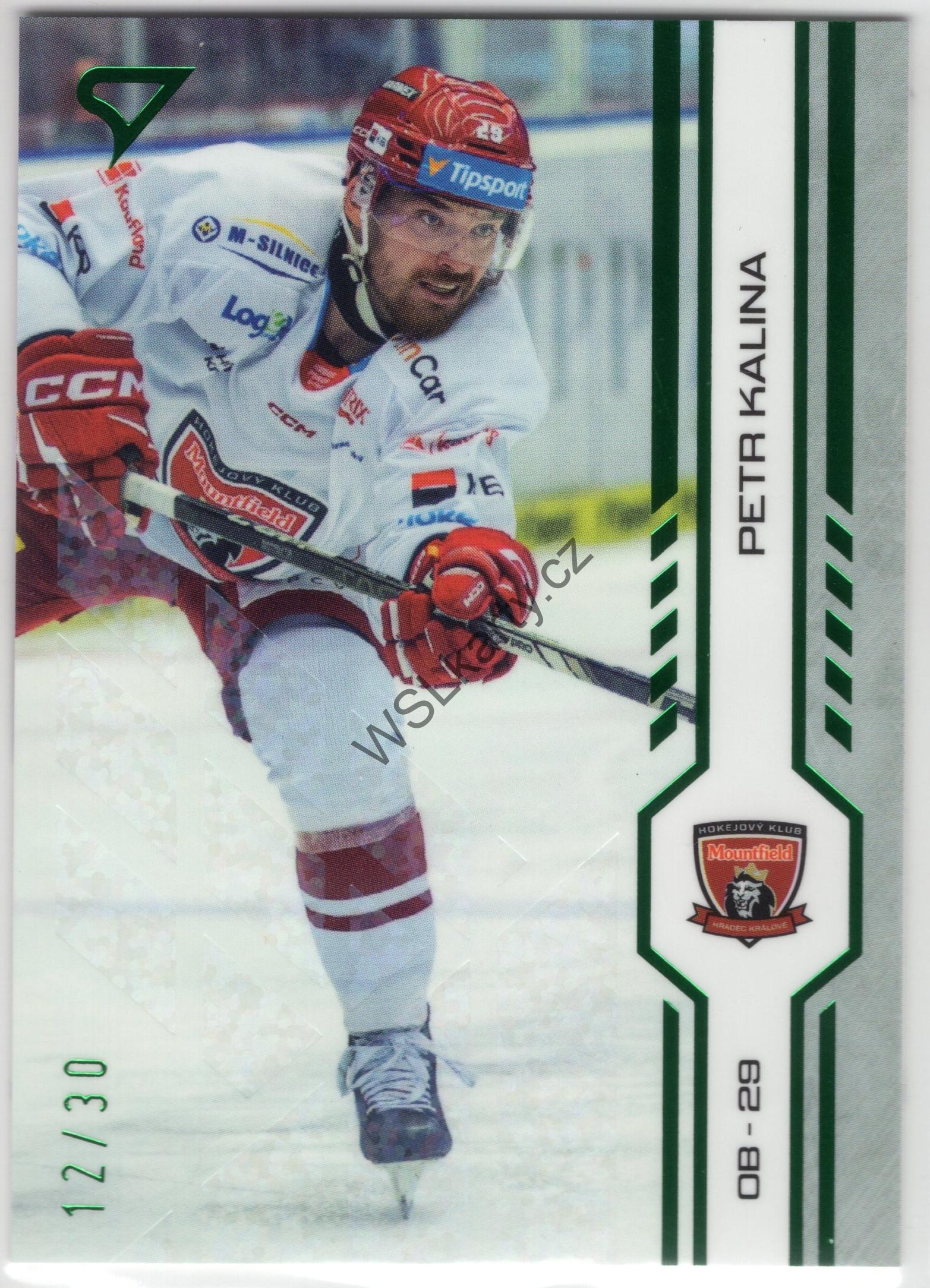 Petr KALINA - SportZoo 24-25 #132 GREEN GLITTER (MHK)