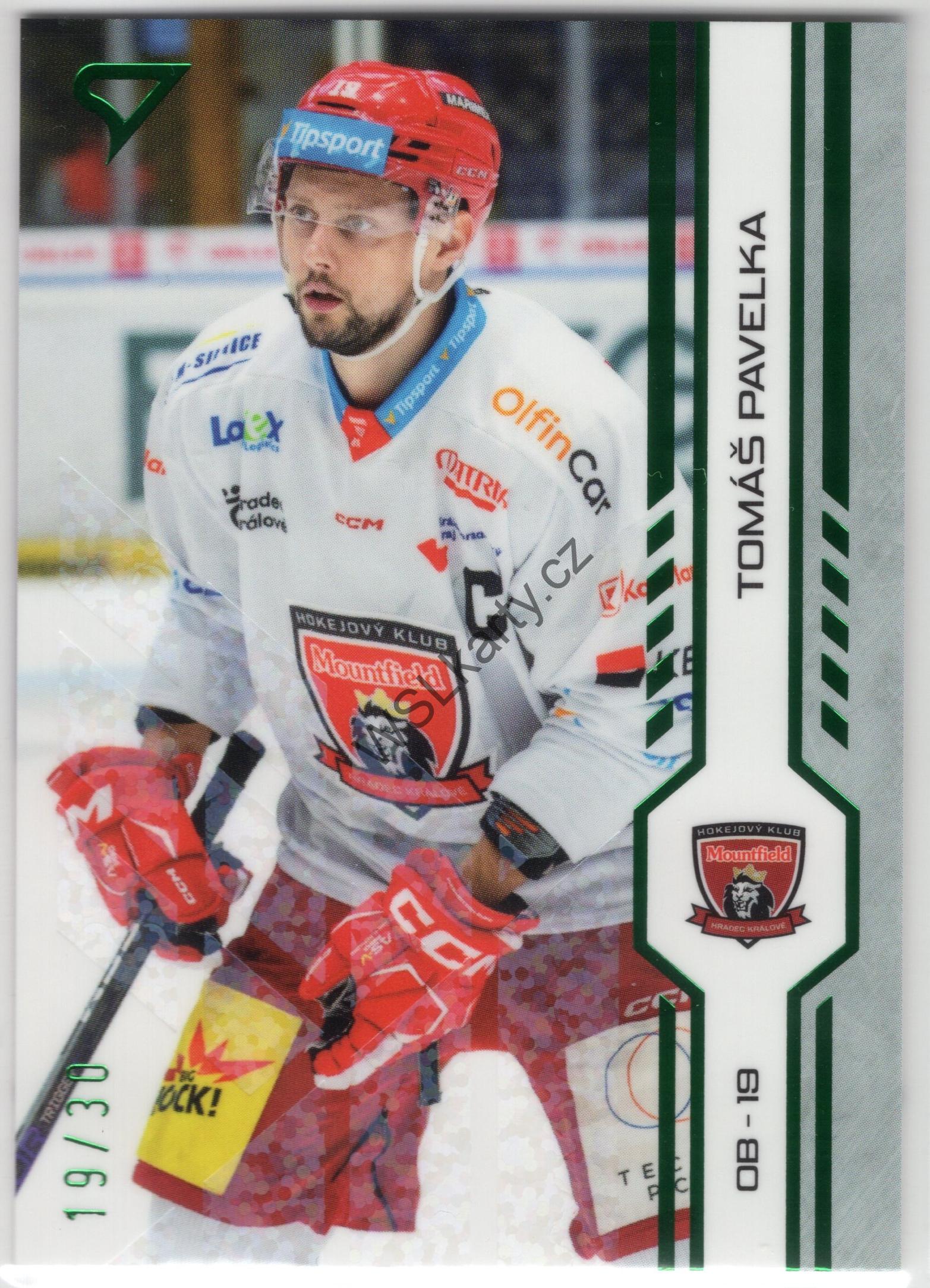 Tomáš PAVELKA - SportZoo 24-25 #135 GREEN GLITTER (MHK)