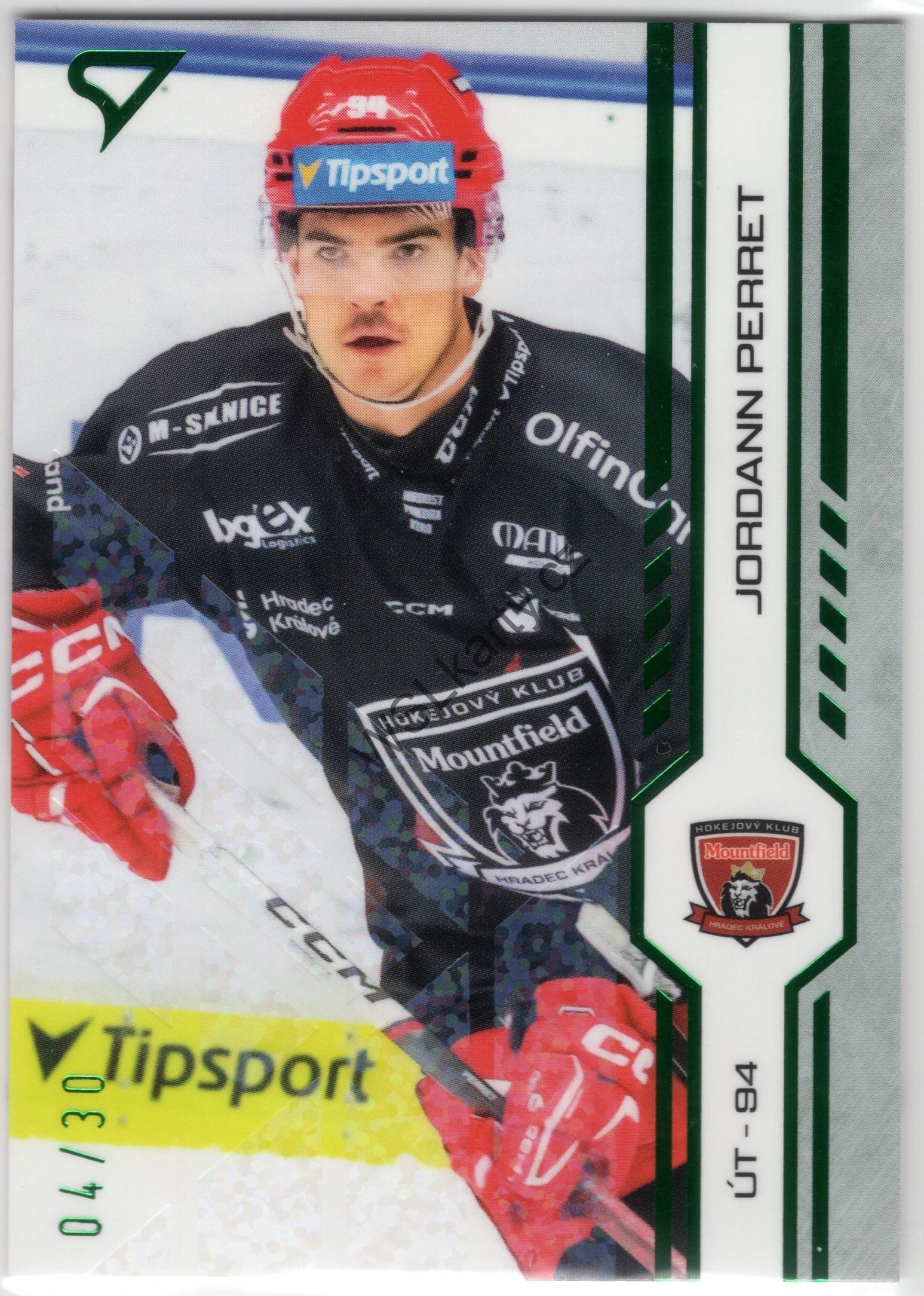 Jordann PERRET - SportZoo 24-25 #142 GREEN GLITTER (MHK)
