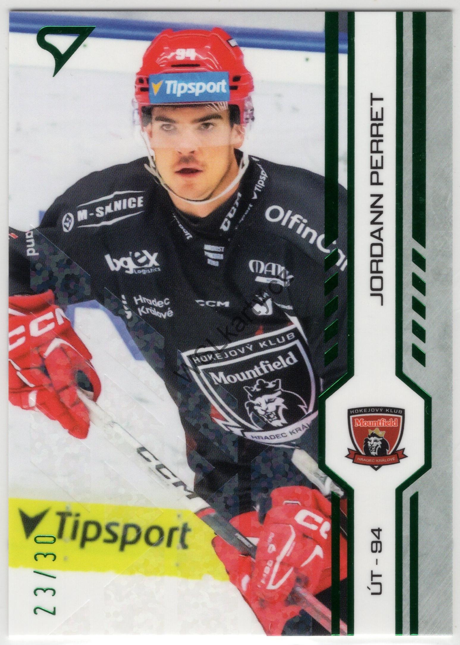 Jordann PERRET - SportZoo 24-25 #142 GREEN GLITTER (MHK)