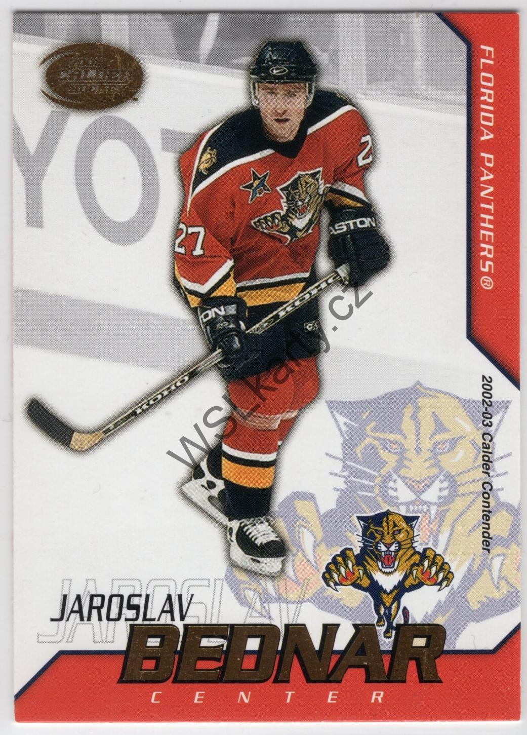 Jaroslav BEDNÁŘ - Calder 02-03 #71 (FLA)