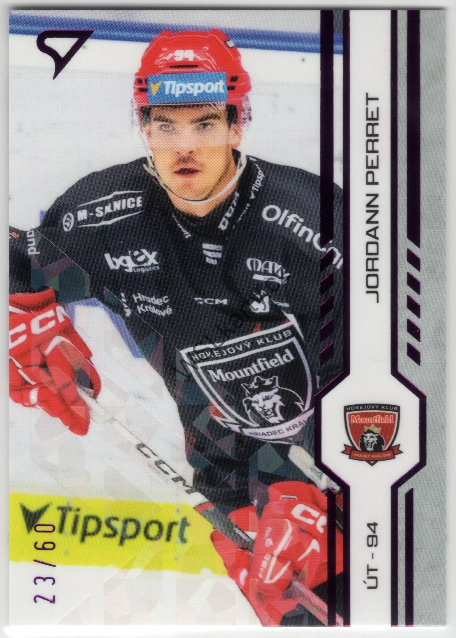 Jordann PERRET - SportZoo 24-25 #142 PURPLE ICEBERG (MHK)