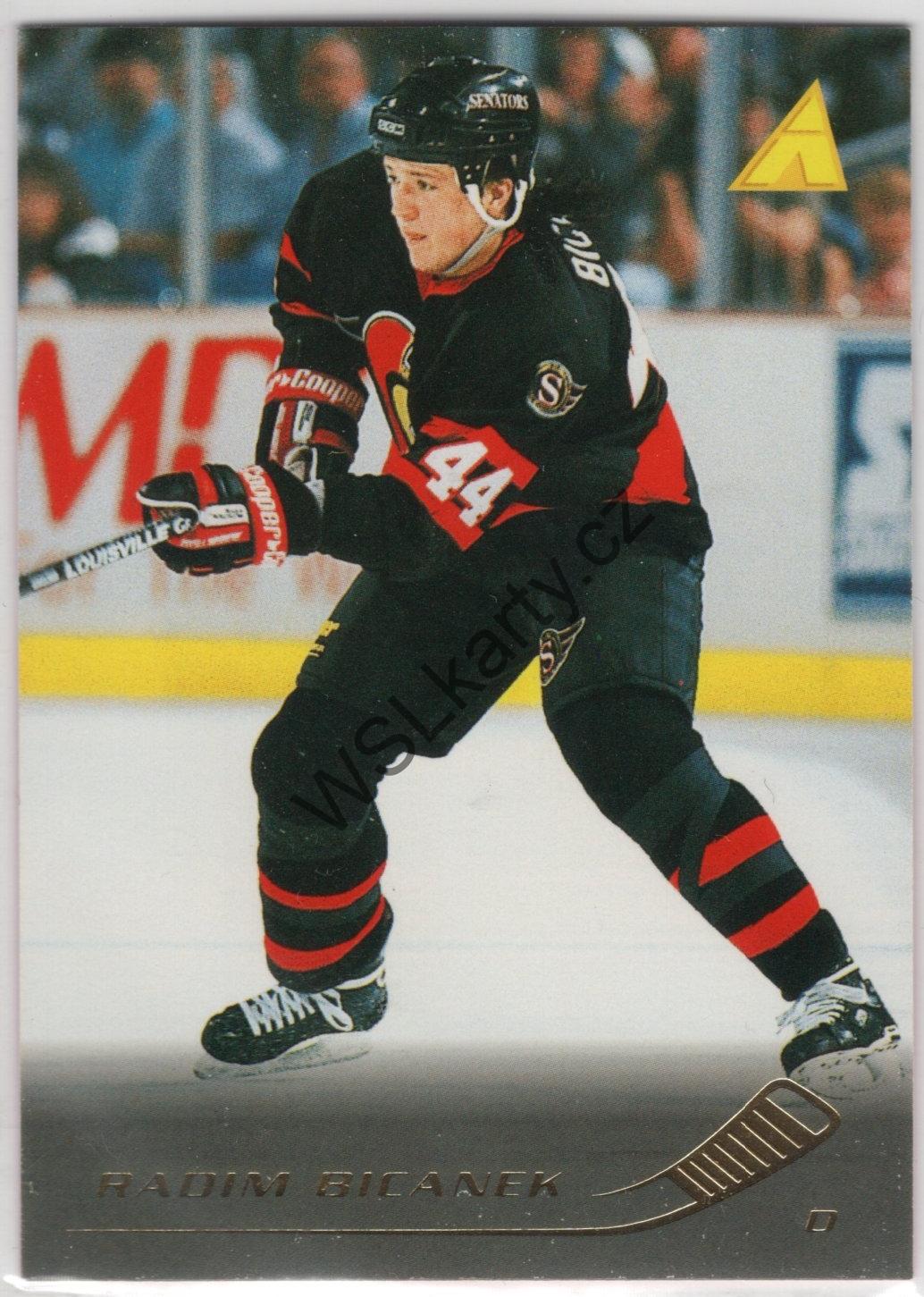 Radim BIČÁNEK - Pinnacle 95-96 #217 (OTT)