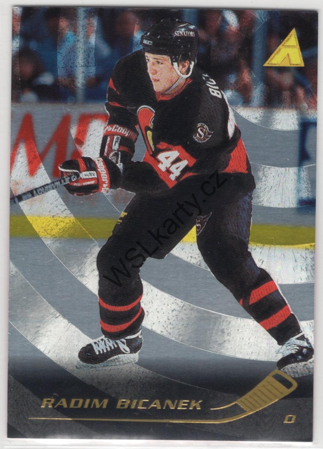 Radim BIČÁNEK - Pinnacle 95-96 #217 RINK COLLECTION (OTT)
