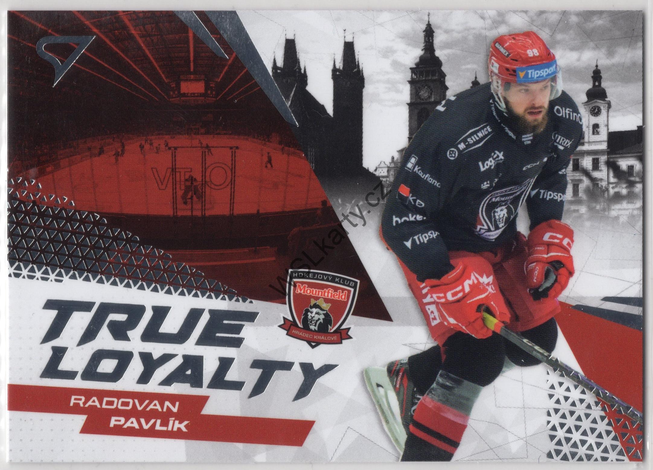 Radovan PAVLÍK - SportZoo 24-25 TRUE LOYALTY #TL-15 (MHK)